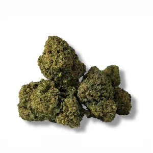 flor cbd Bubble Bob