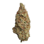 God Father CBD hidroponica