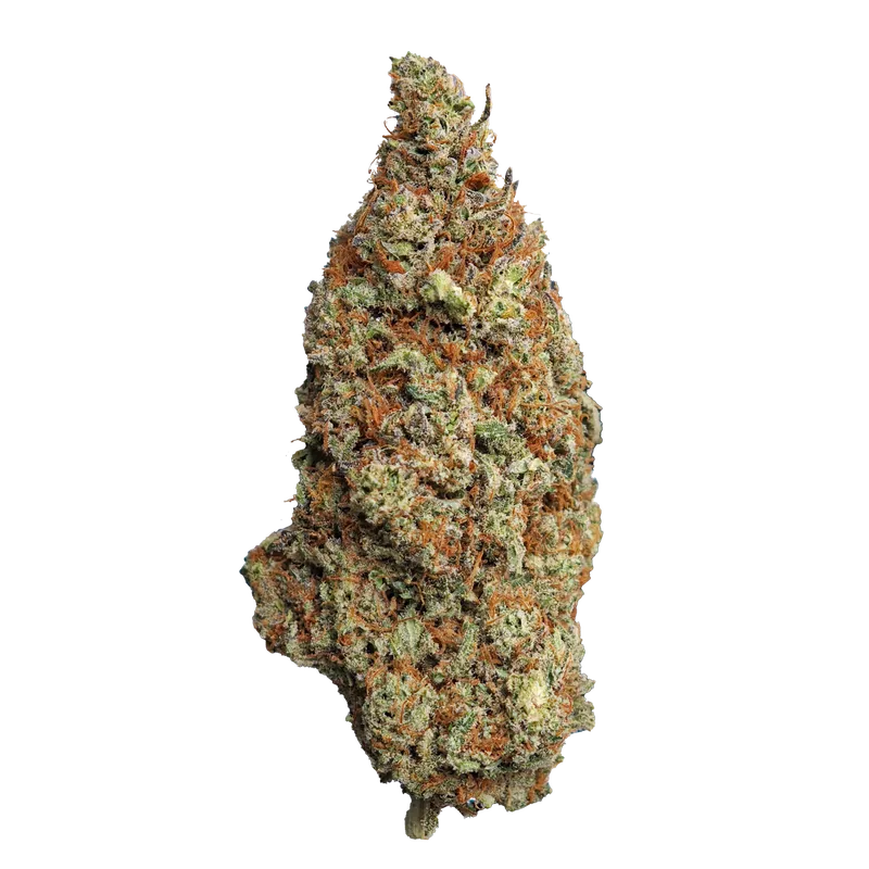 God Father CBD hidroponica