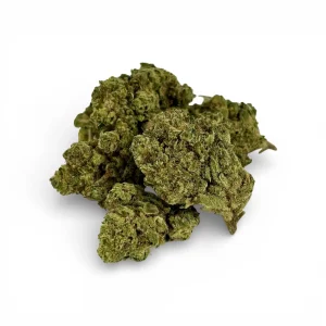 Bubble Gum INDOOR PREMIUM