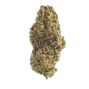 LEMON TRIP GLASSHOUSE