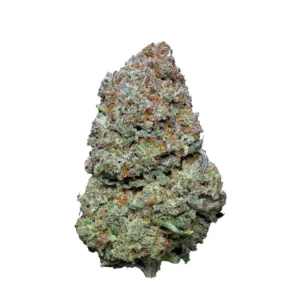 ORANGE HIDROPONICA