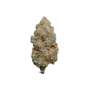WHITE WIDOW HIDROPONICA