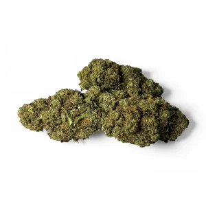 SOUR CHEESE GLASSHOUSE