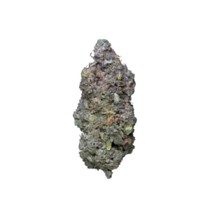 LEMON BUTTER HIDROPONICA