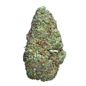 GORILLA MANDARINE GLASSHOUSE