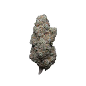 SOLERO CREAM HIDROPONICA