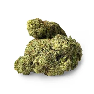 White Widow Indoor Premium