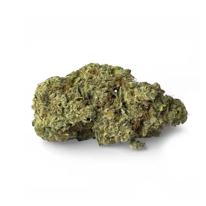 White Melon Indoor Premium