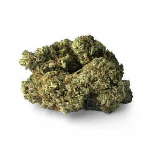 GELATO HIDROPONICA