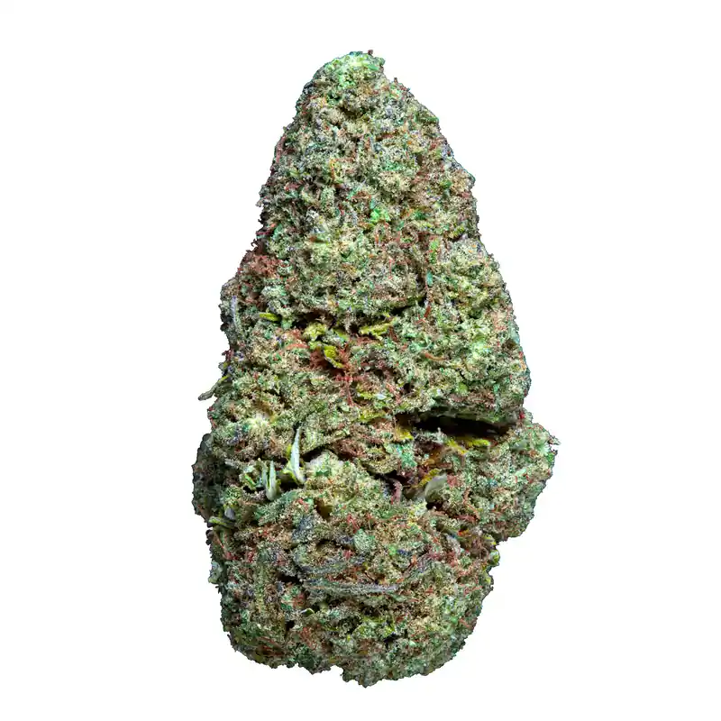 Gorilla Mandarine CBD Glasshouse