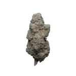 Solero Cream CBD hidropónica