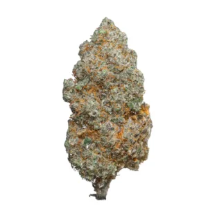 White Widow CBD hidropónica
