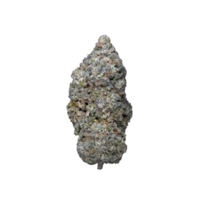 Legendary Skunk CBD Hidropónica